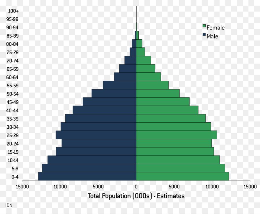 Piramida Penduduk，Demografi PNG