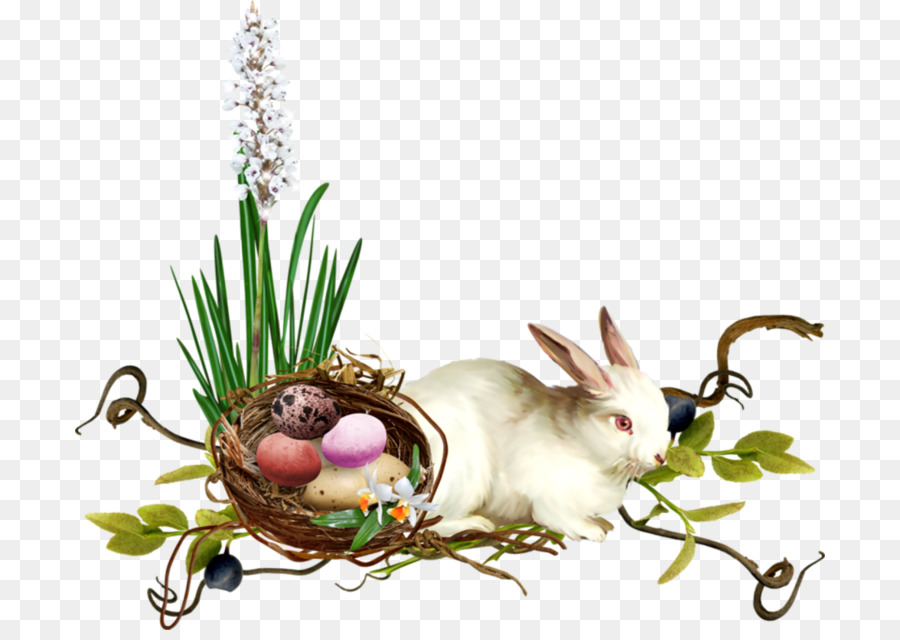 Paskah，Kelinci Paskah PNG
