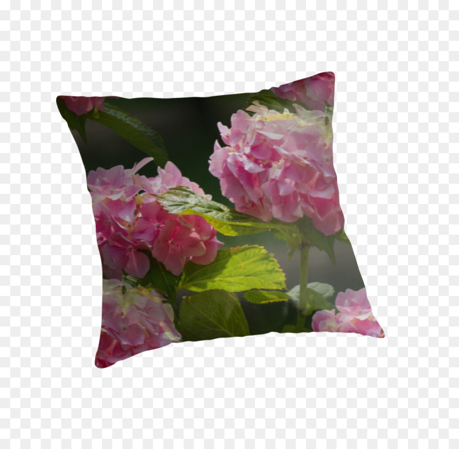 Bantal，Ungu PNG