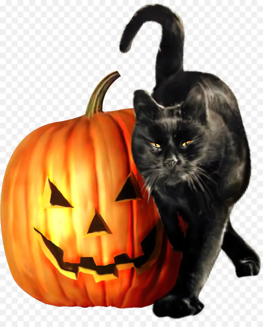 Labu Dan Kucing Hitam，Jack O' Lantern PNG