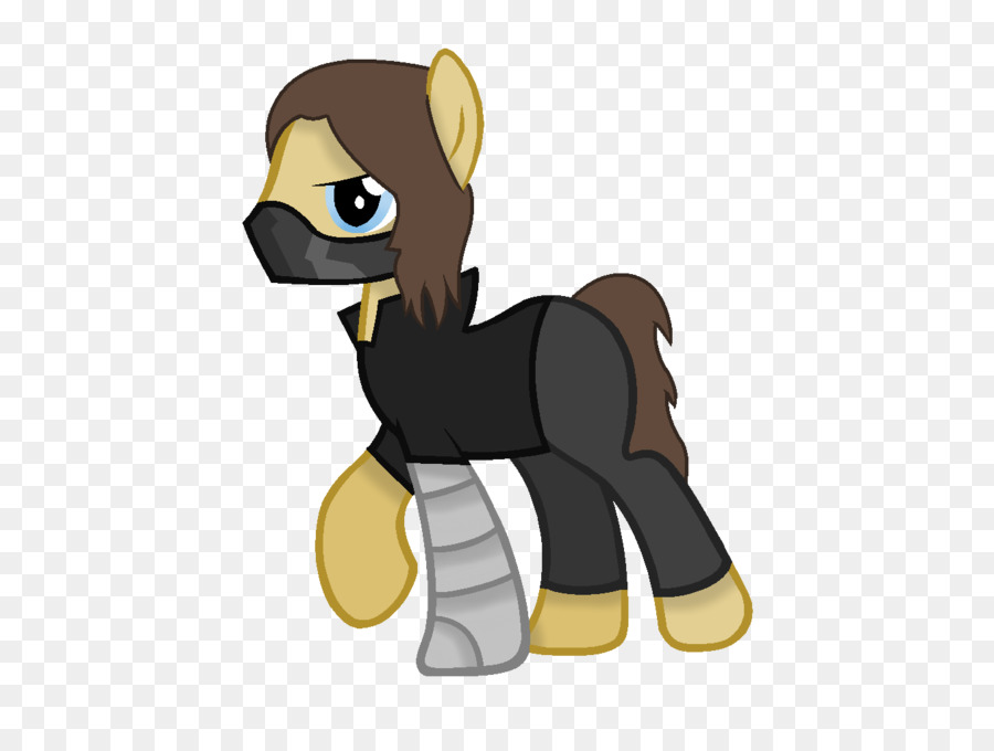 Kuda，Pony PNG