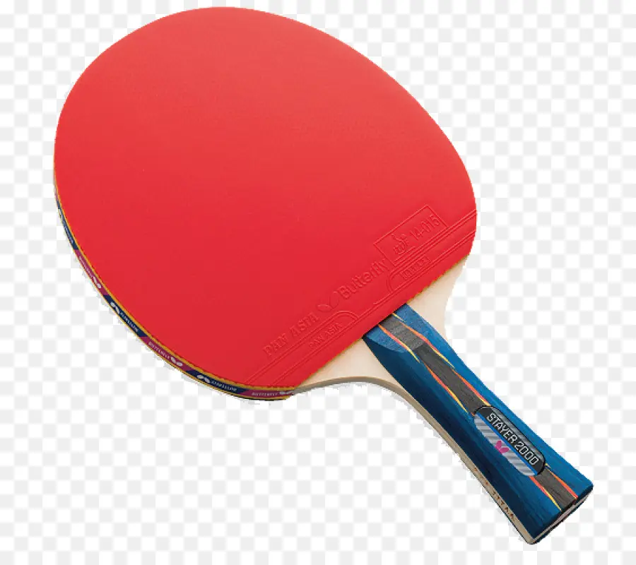 Ping Pong Dayung Set，Ping Pong PNG