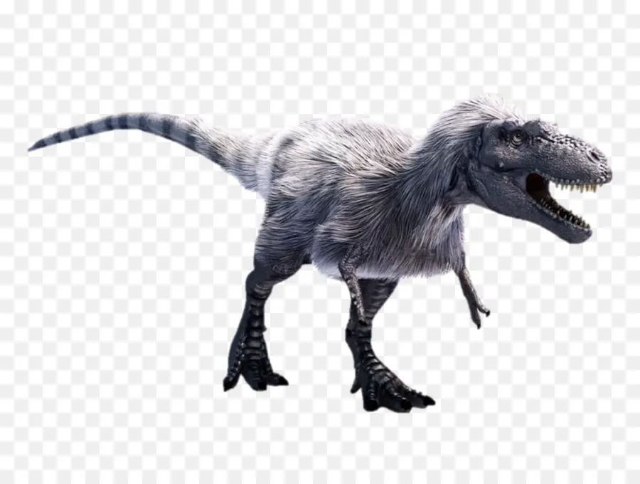 Dinosaurus，Prasejarah PNG