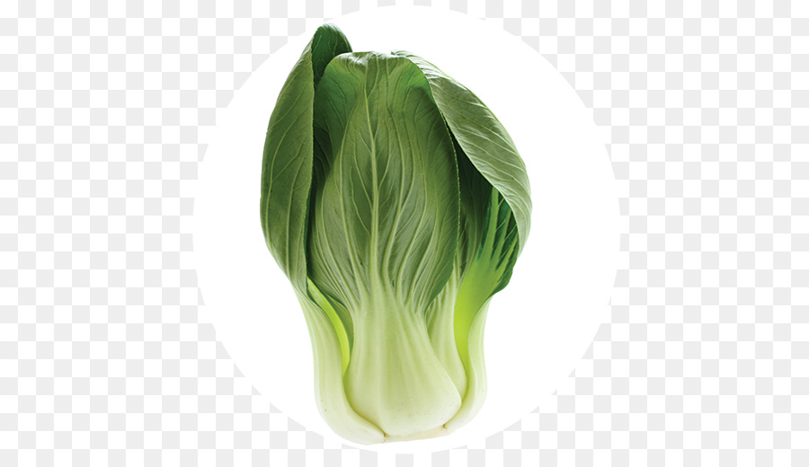 Bok Choy，Rindang PNG