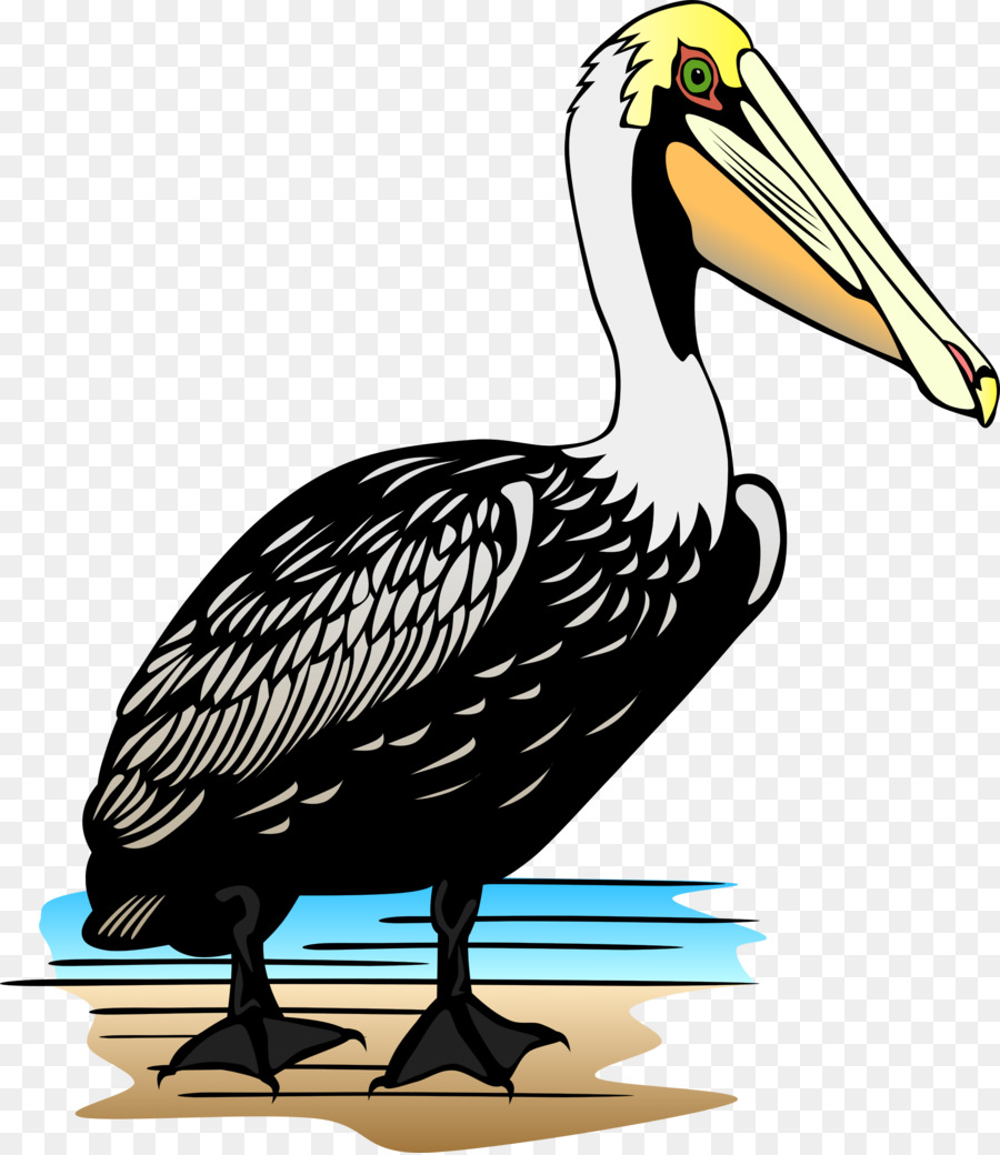 Pelican，Kartun PNG