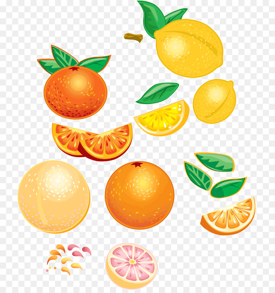 Orange，Masakan Vegetarian PNG