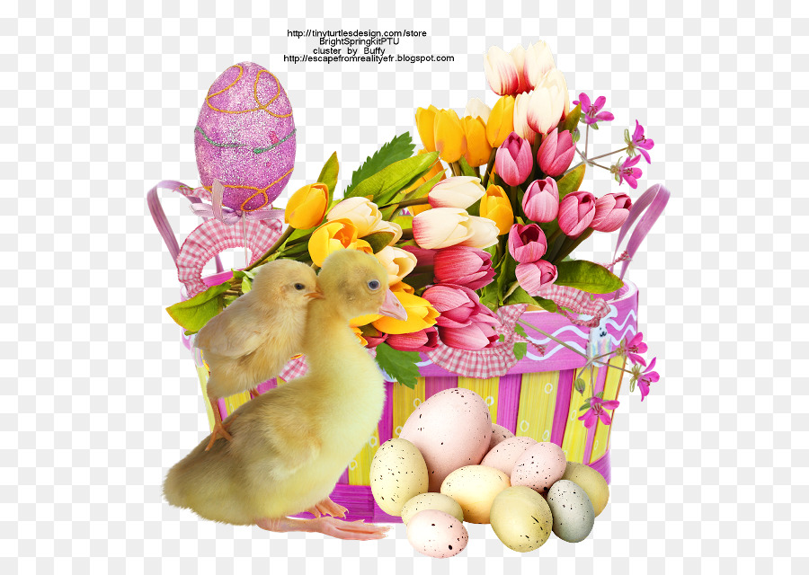 Kelinci Paskah，Paskah PNG