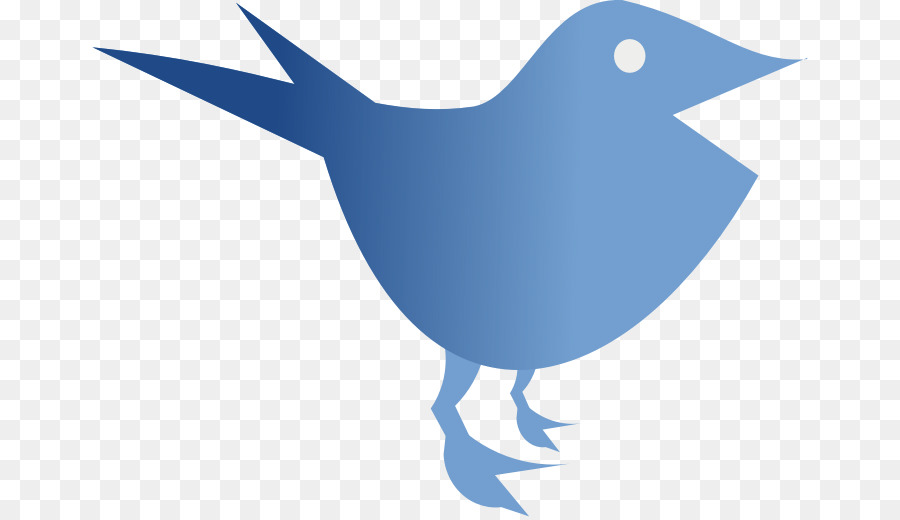 Blue Bird，Hewan PNG