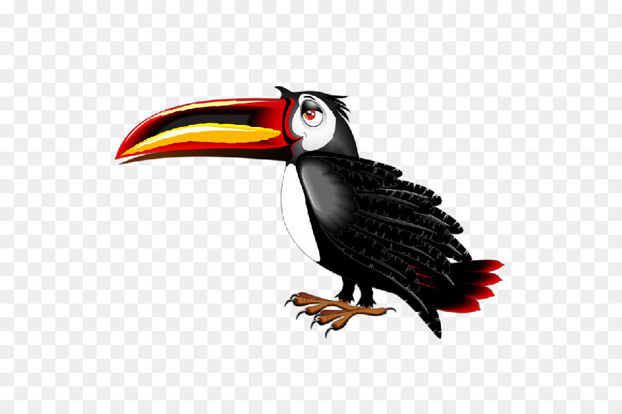 Burung Toucan，Burung PNG