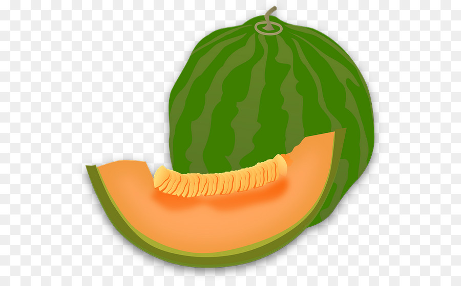 Melon，Hijau PNG