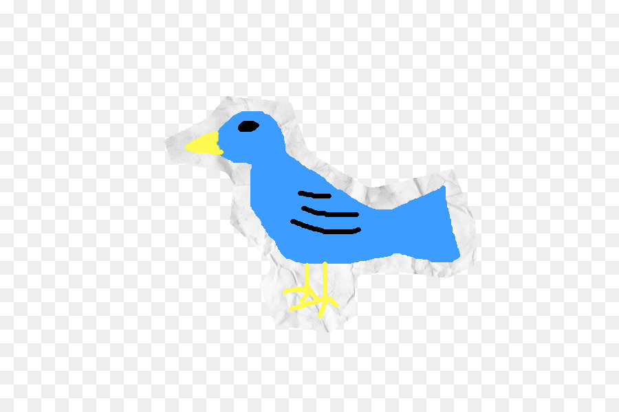 Burung，Burung Air PNG