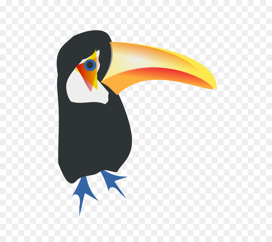 Toucan，Toco Toucan PNG