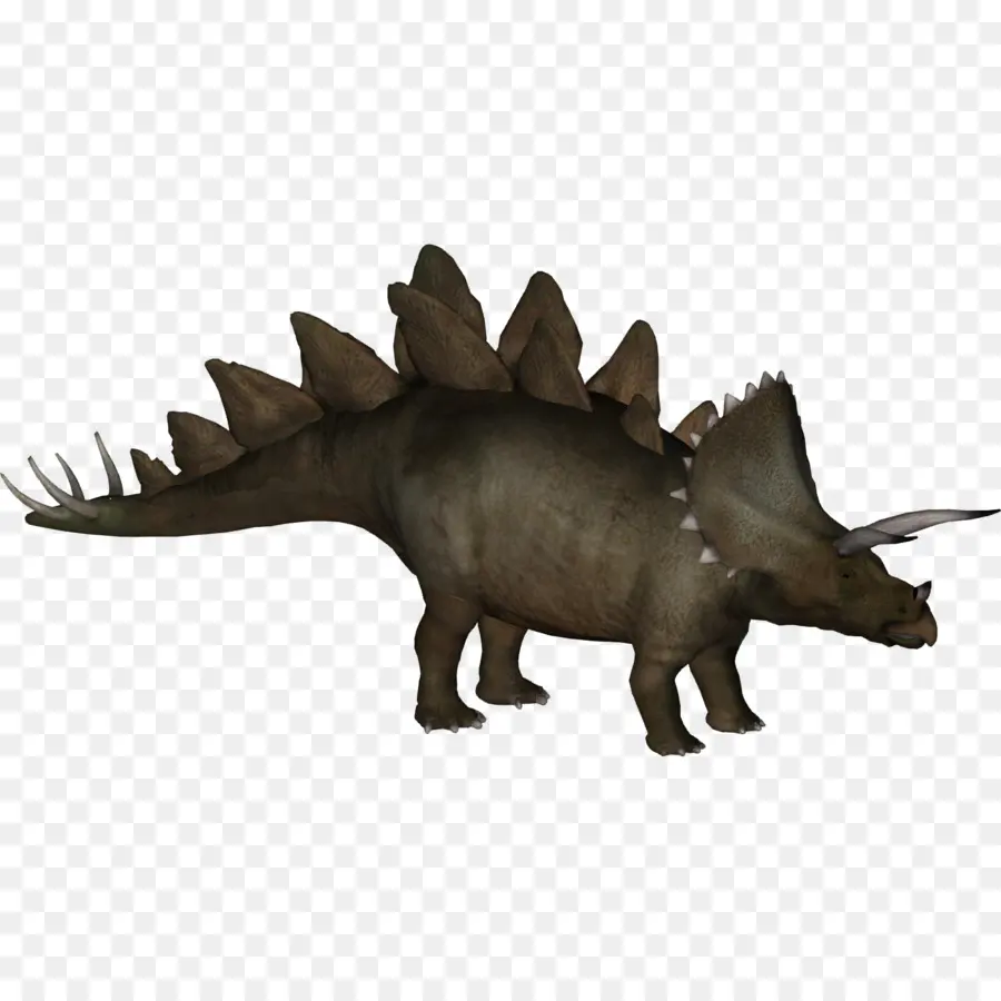 Triceratop，Prasejarah PNG