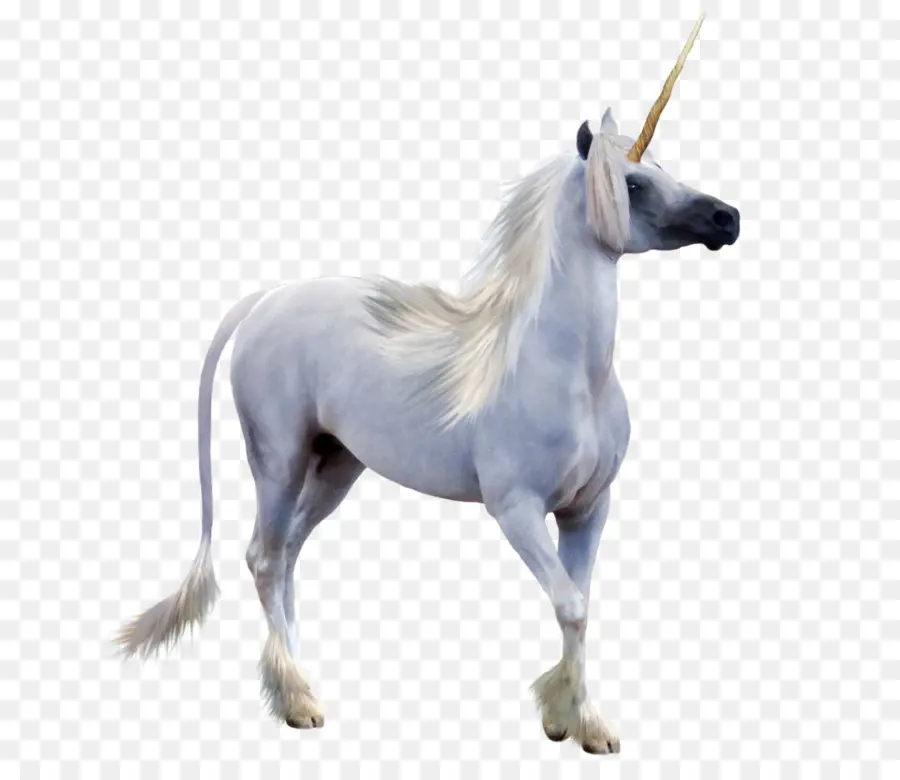 Unicorn Putih，Mitos PNG