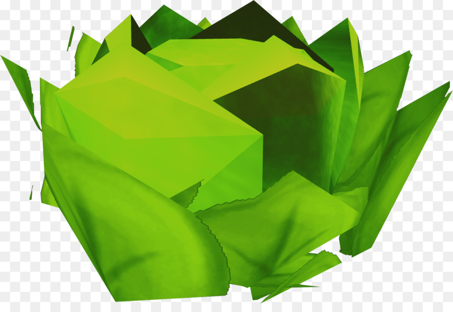 Kubis，Brassica PNG