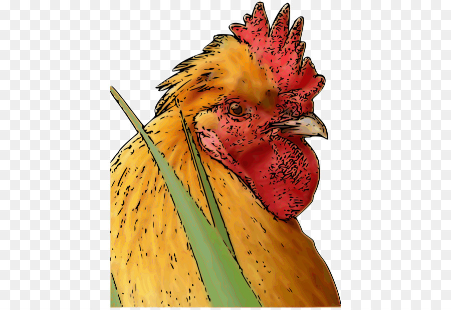 Ayam，Peternakan Unggas PNG