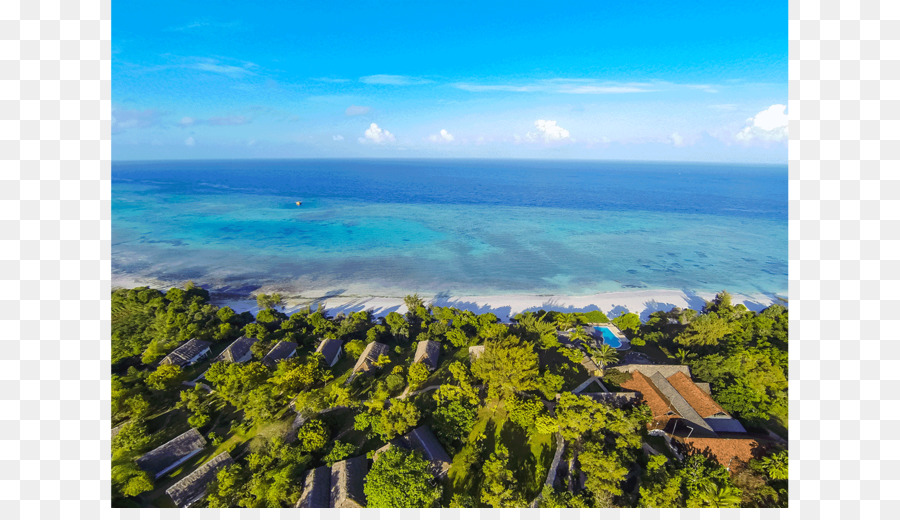 Pantai Dan Samudera，Tropis PNG