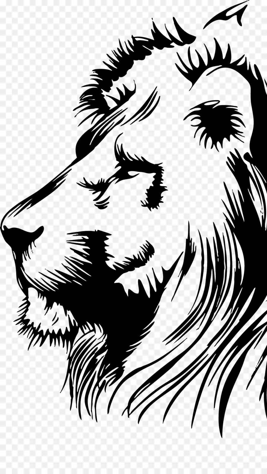 Singa，Kelinci Lionhead PNG