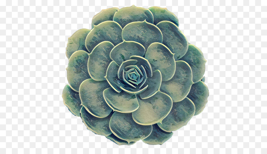 Tanaman Succulent，Bisnis PNG