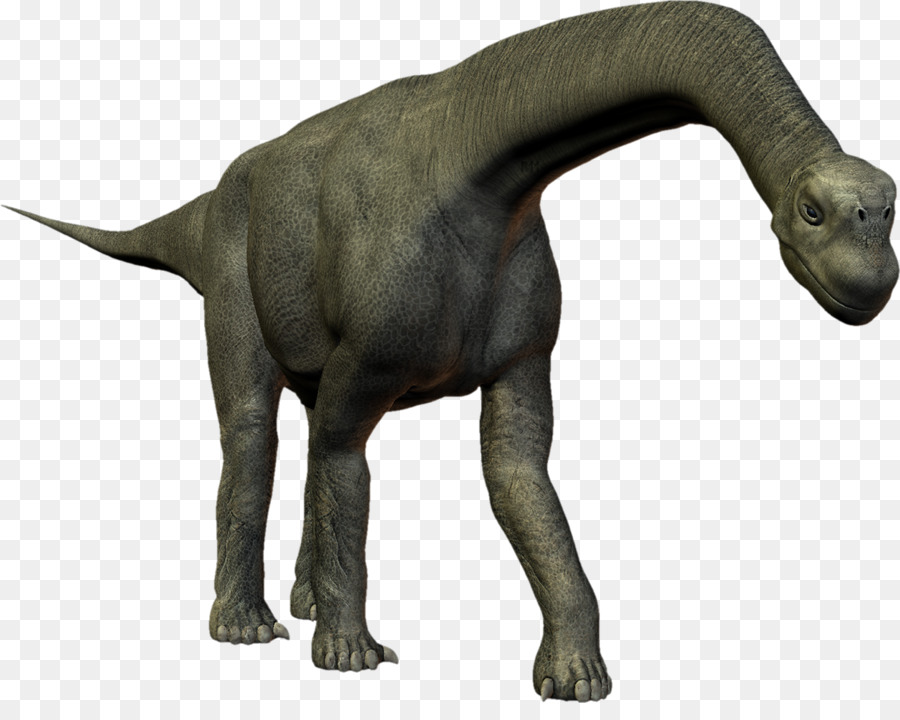 Dinosaurus，Prasejarah PNG