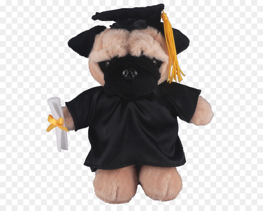 Pug，Wisuda PNG