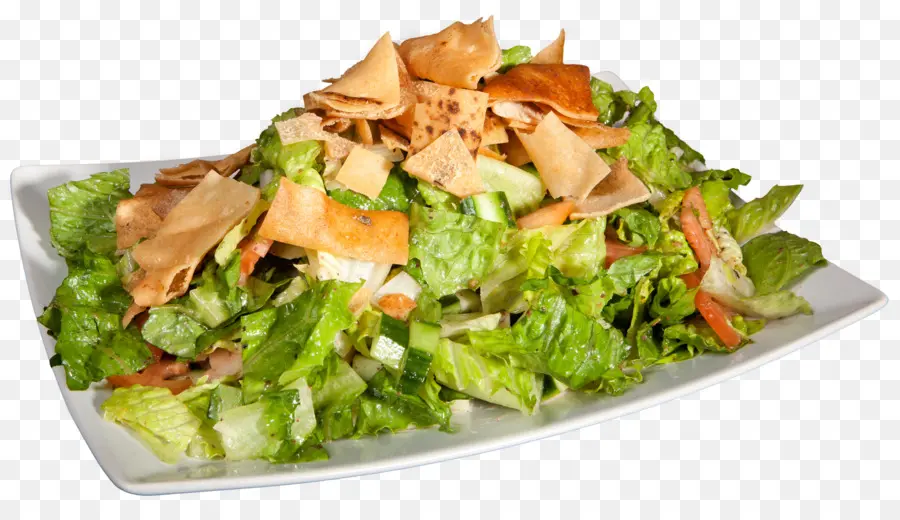 Salad Fattoush，Salad PNG