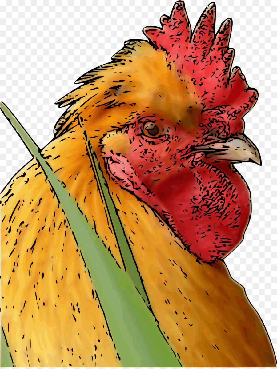 Ayam，Peternakan Unggas PNG