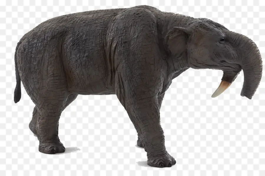 Deinotherium，Prasejarah PNG