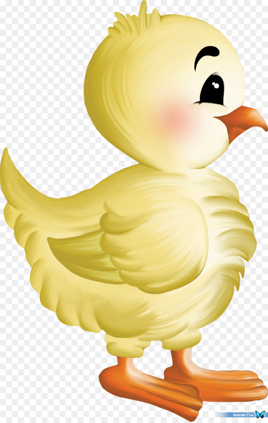 Burung Kuning，Kartun PNG