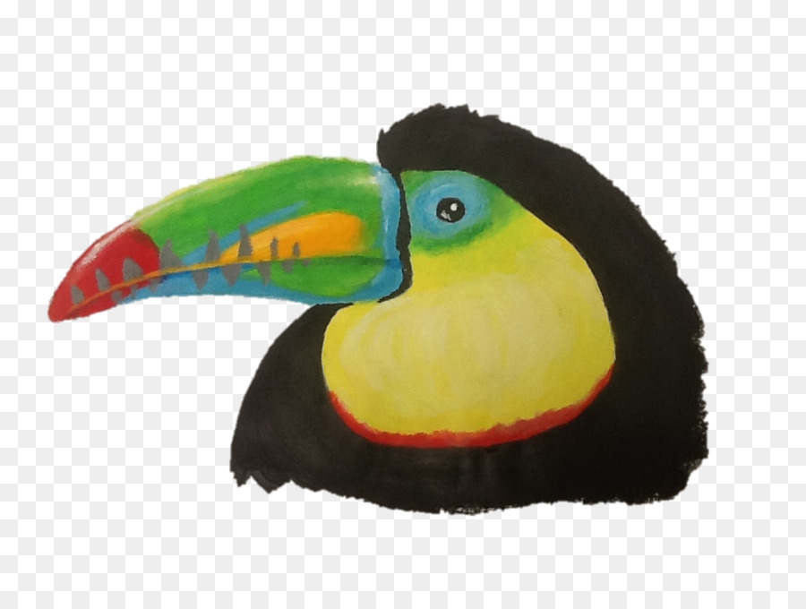 Burung，Toucan PNG