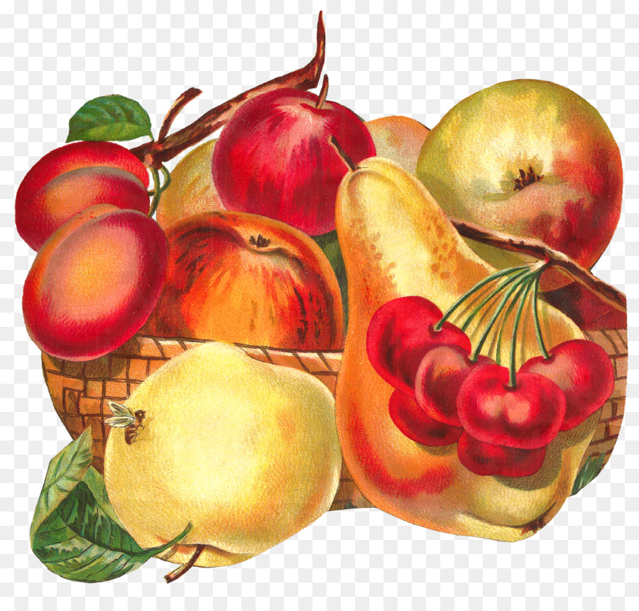 Apple，Makanan PNG