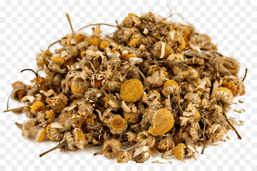 Bunga Chamomile Kering，Teh Herbal PNG