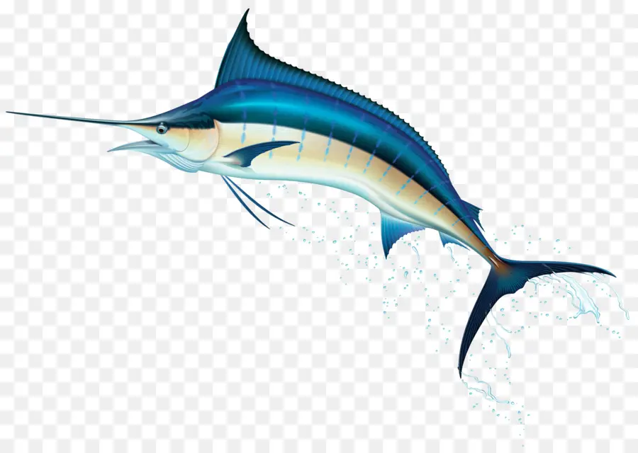 Marlin，Ikan PNG