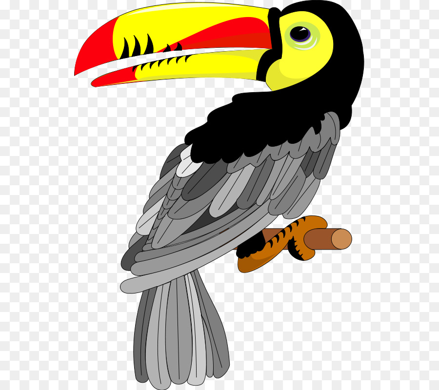 Toucan，Burung PNG