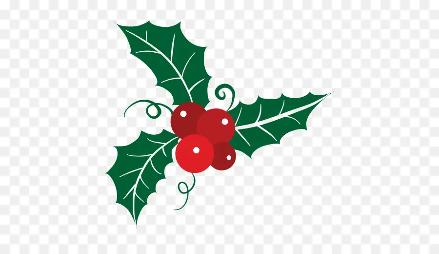 Mistletoe，Holly PNG