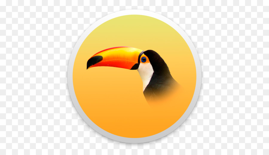 Burung，Toucan PNG