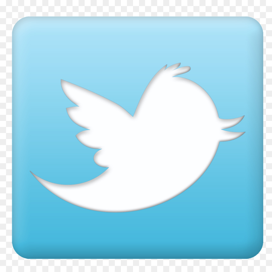 Logo Twitter，Media Sosial PNG