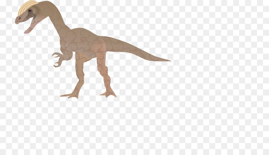 Dinosaurus，T Rex PNG