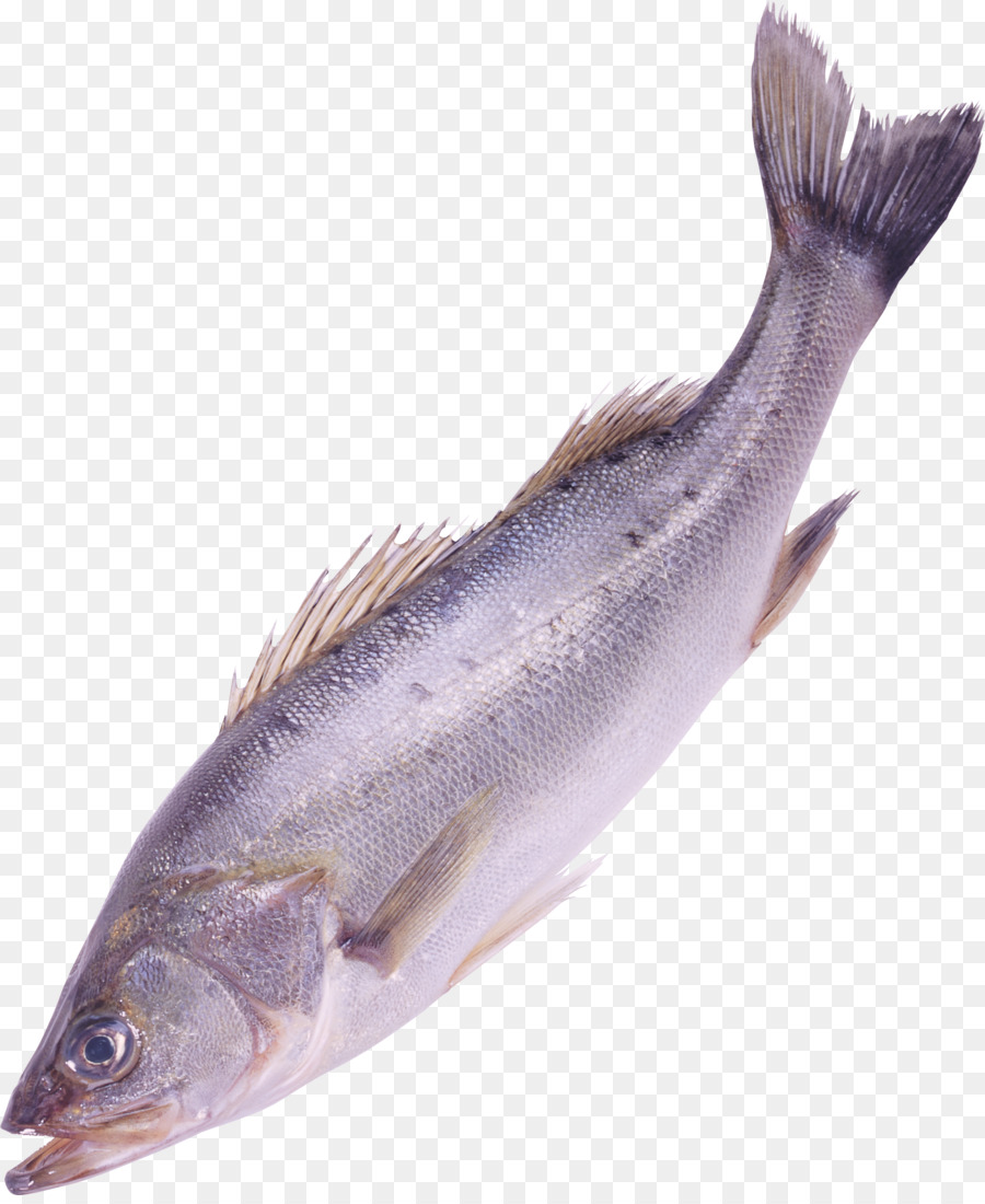 Ikan，Kliping Jalan PNG