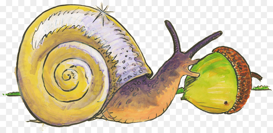 Siput，Gastropoda PNG