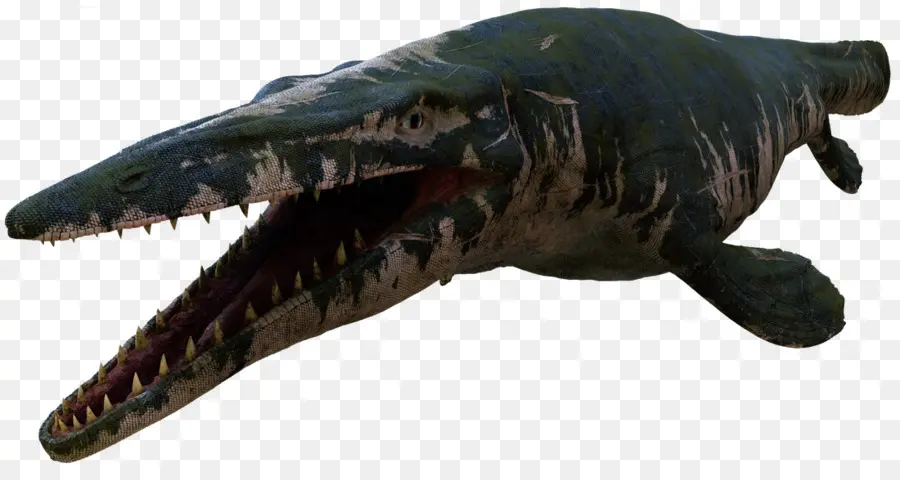 Tylosaurus，Mosasaurus PNG