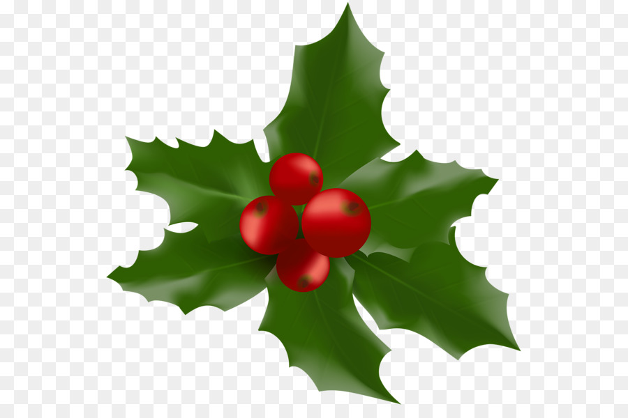 Candy Cane，Mistletoe PNG