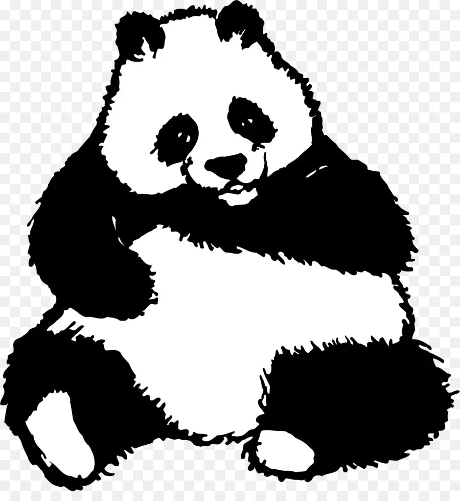 Panda Raksasa，Gambar PNG
