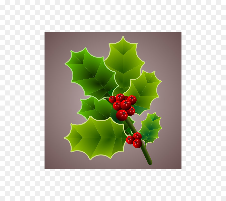 Natal，Umum Holly PNG