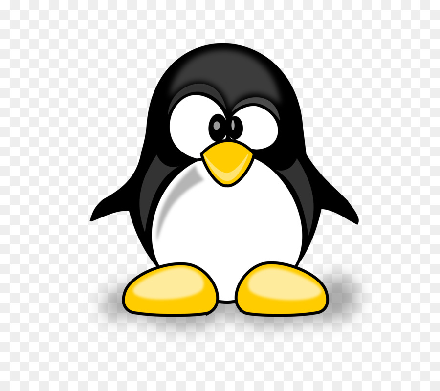 Penguin，Burung PNG