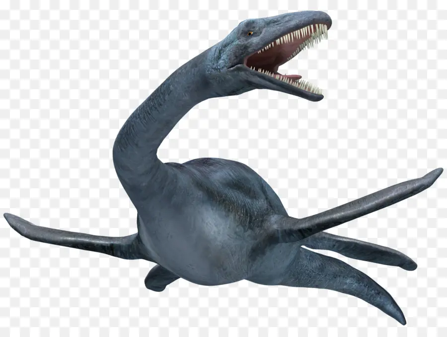 Plesiosaurus，Laut PNG