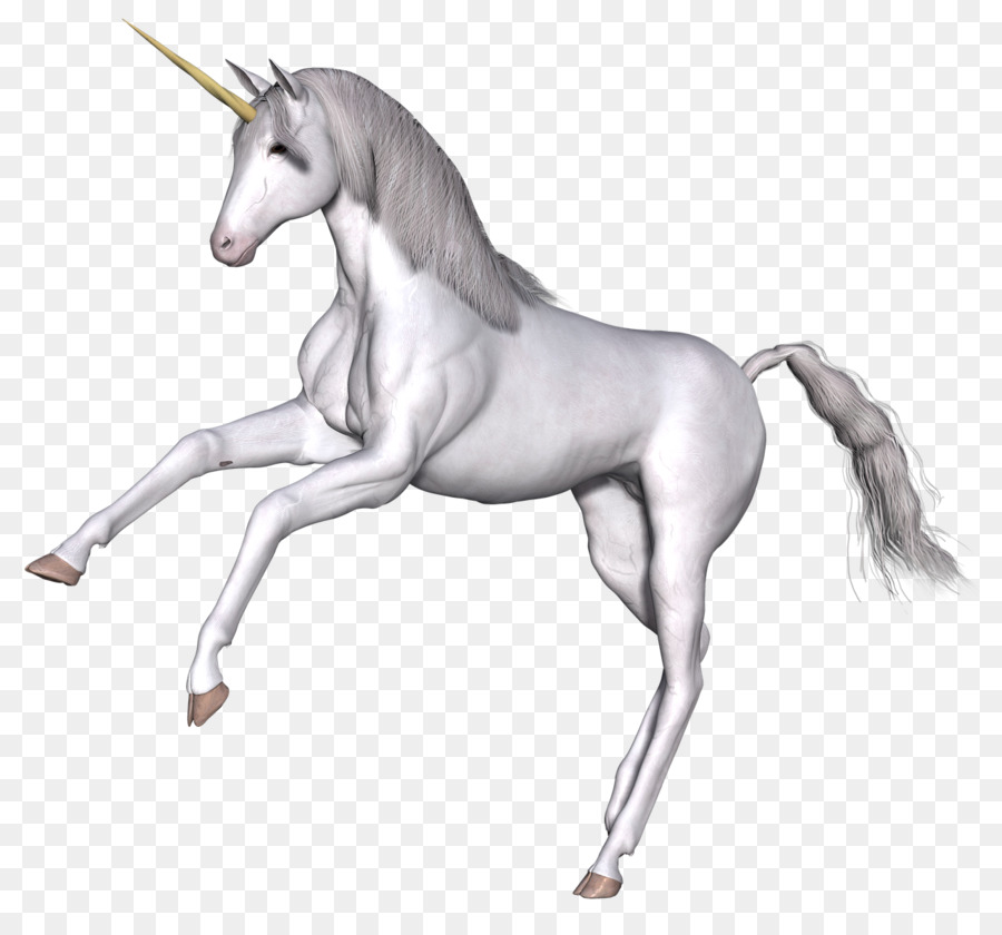 Unicorn，Mitos PNG