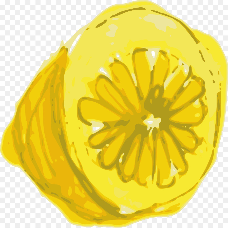 Lemon，Ikon Komputer PNG