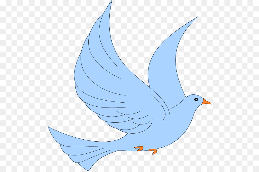 Blue Bird，Penerbangan PNG