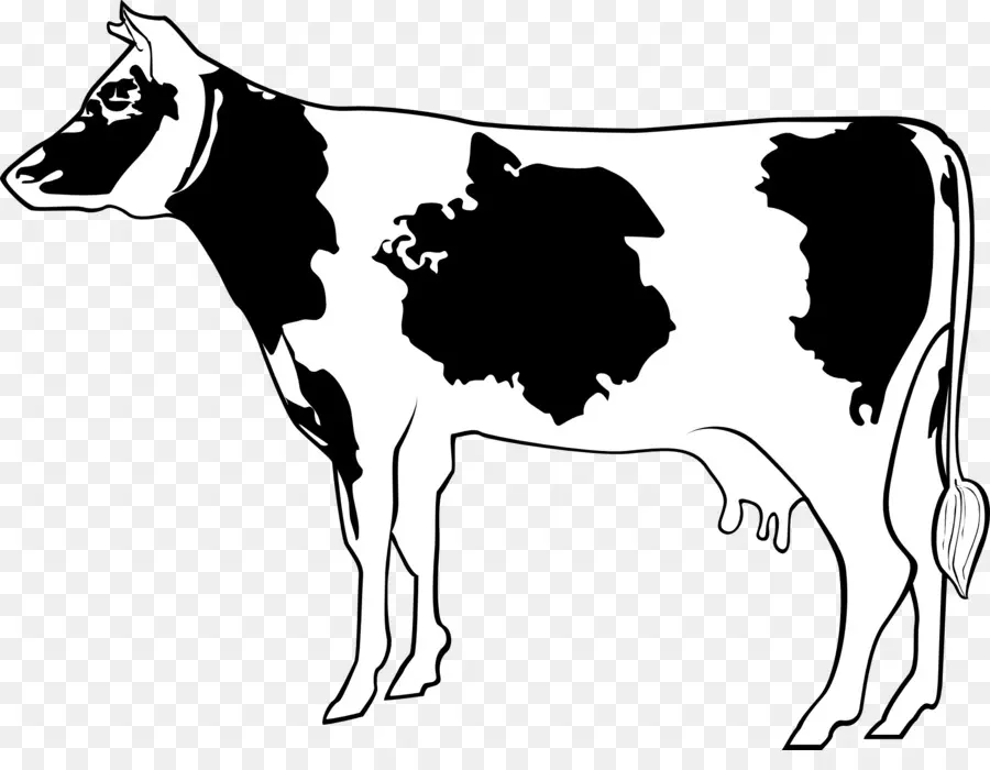 Holstein Friesian Ternak，Pertanian PNG